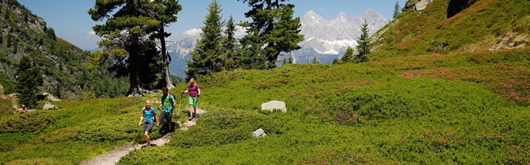 Geführte Wanderungen in Ramsau am Dachstein